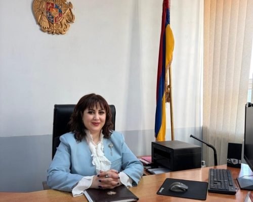 նկար տնօրենի պաշտոնակատար՝ Աննա Կարապետյան